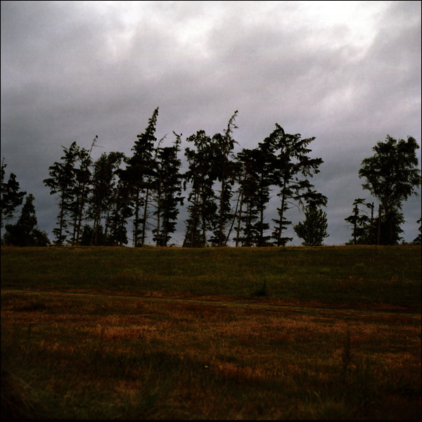 Fehmarn Altenteil Strand 02