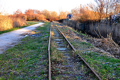 Narrow gauge railway near Leiden