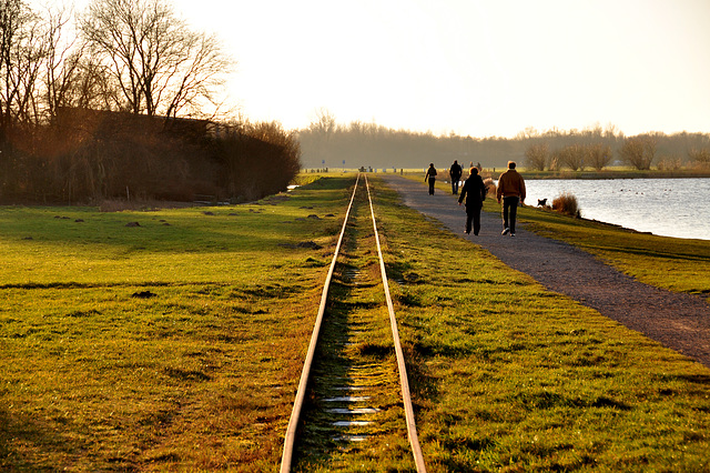 Narrow gauge railway near Leiden