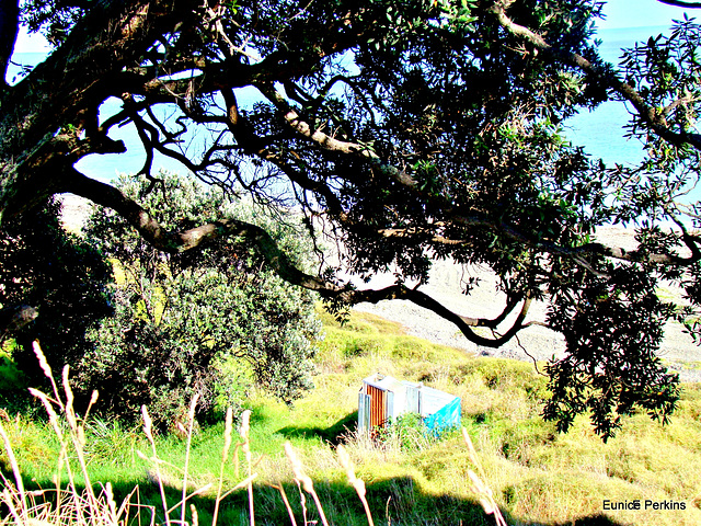 Beach Outhouse Maybe. Near Top of East Cape