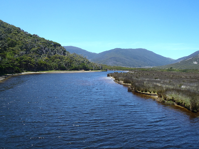 Tidal River