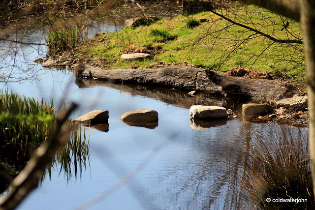 Stepping Stones