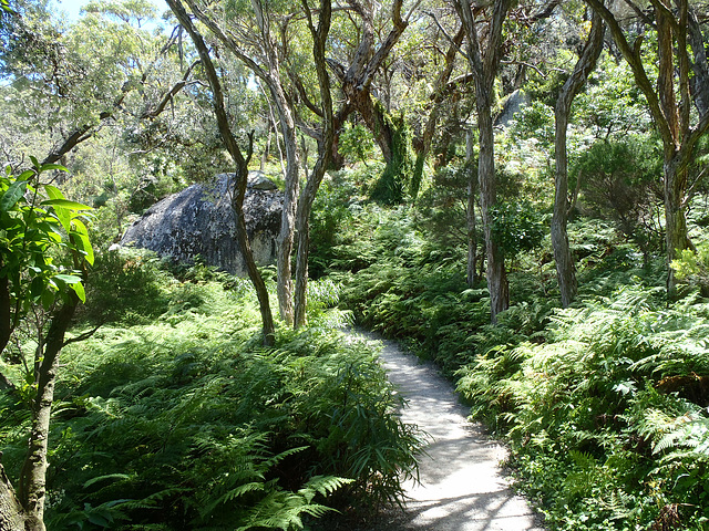 walking to Pillar Point