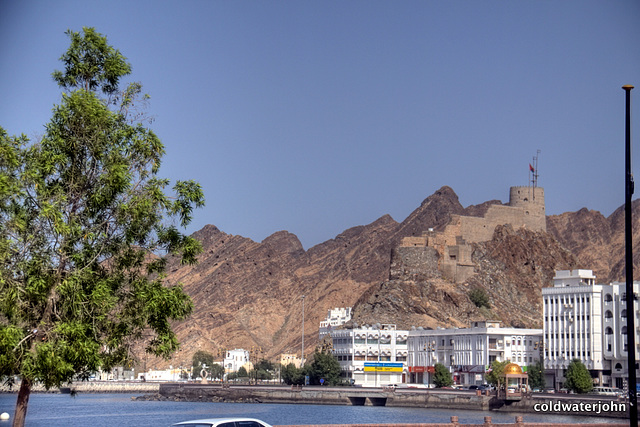 The Oman Series