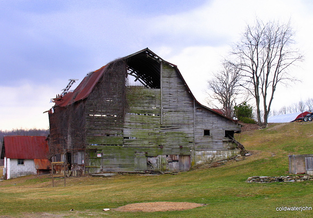 Old Age and Decay