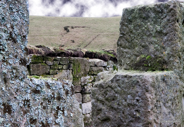 Stone and lichens