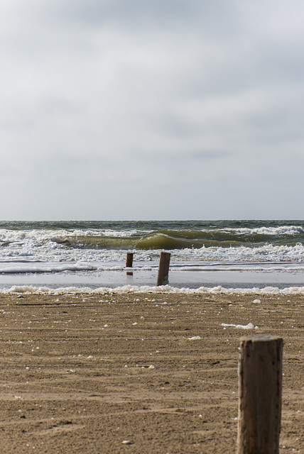 Nordsee - 20130512