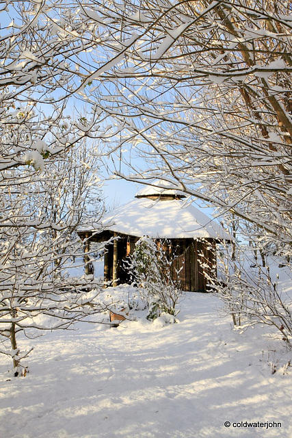 Sun and snow - garden walk Dec 10 2011