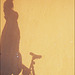 Schatten