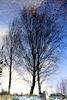 Water mirror 5266319057 o
