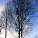 Water mirror 5266319057 o