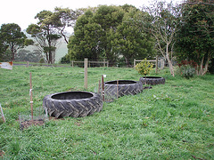 tractor tyre beds