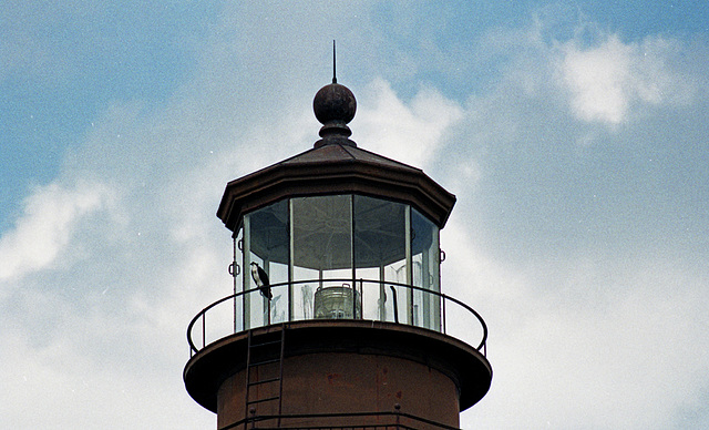 Sanibel Island Lighthouse with Osprey