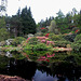 Rhododendrons in bloom by the pond at Blackhills