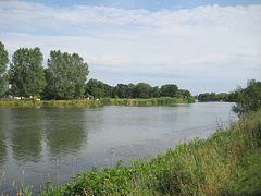 Die Saale bei Alsleben