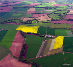 Nature's Palette. Fields north of Dundee near Montrose, from 1,500 feet AGL on flight from Dundee to RAF Kinloss