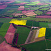 Nature's Palette. Fields north of Dundee near Montrose, from 1,500 feet AGL on flight from Dundee to RAF Kinloss