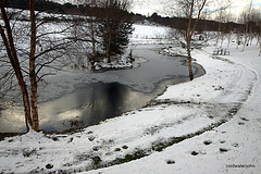 Horse pond...