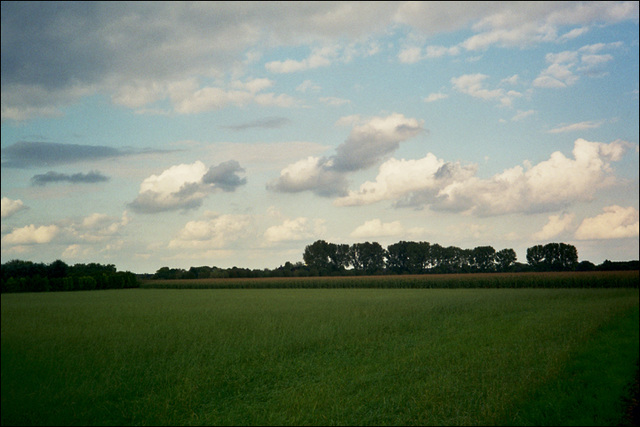 Feld