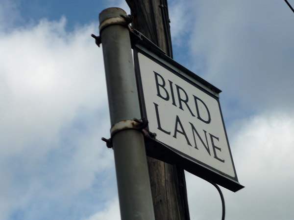 Bird Lane