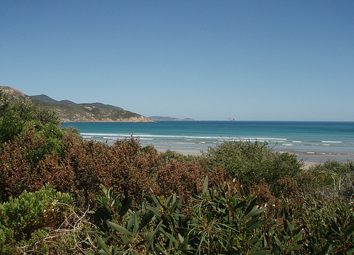 Norman Beach