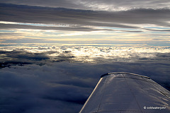 IMG 7125