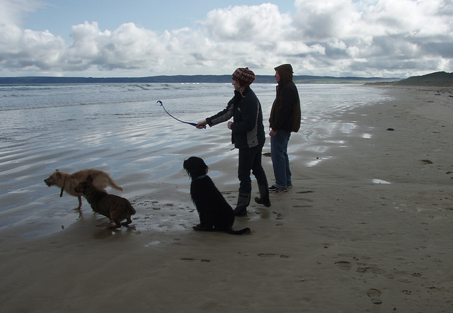 doggy fun at Sandy Point