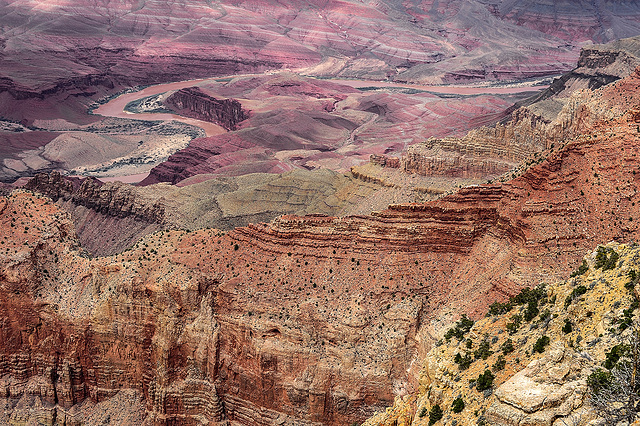 Grand Canyon (AZ)