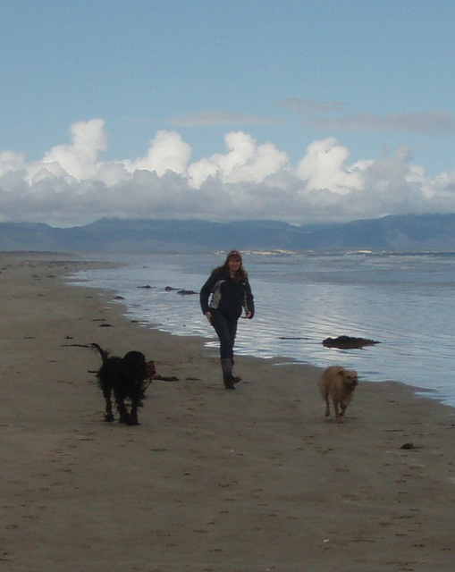 doggy fun at Sandy Point