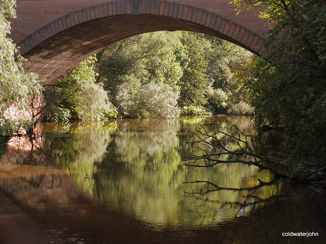 Kelvin afternoon reflections