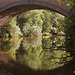 Kelvin afternoon reflections