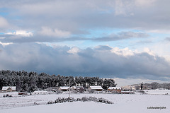 Early morning walk around the gardenneighbours across the fields 5211854186 o