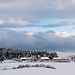 Early morning walk around the gardenneighbours across the fields 5211854186 o