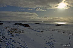 View across the Moray Firth from Chanonry Point from a Tee on the Fortrose (snow) Golf Course