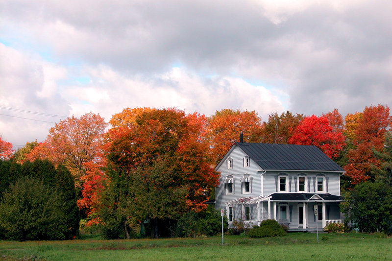 Autumn colours in Quebec, Canada