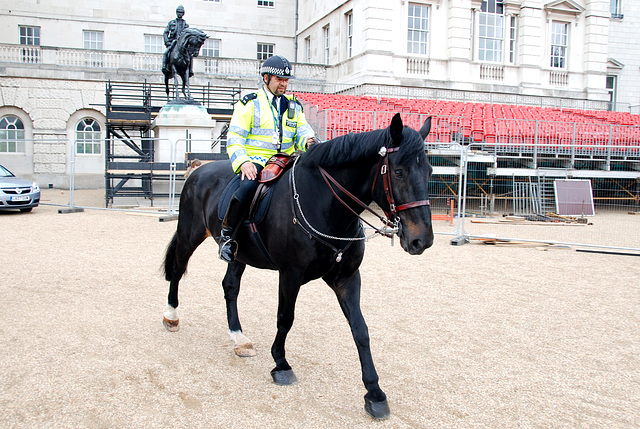 Real horse and bronze horse