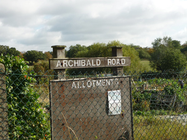 Archibald Road Allotments