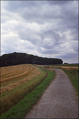 Feldweg