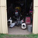 guineas in the garage