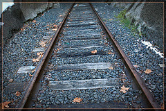 Tracks Towards the Tunnel