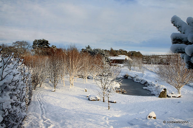 Sun and snow - garden walk Dec 10 2011