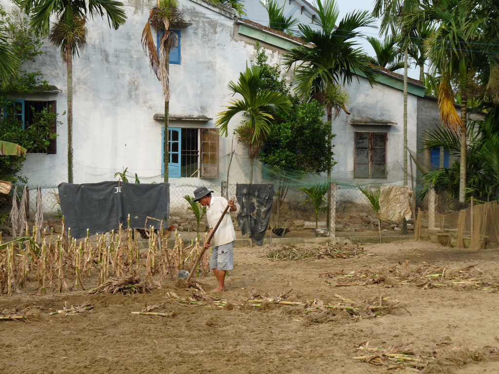 Farmer at Work