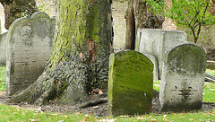 jewish cemetery , lauriston rd., hackney, london