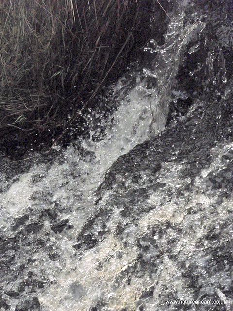 Ogden Moor and Waterfall