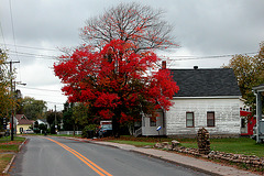 Autumn colours in Pierreville, Quebec (Canada)