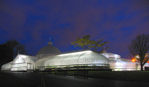 Kibble Palace at night