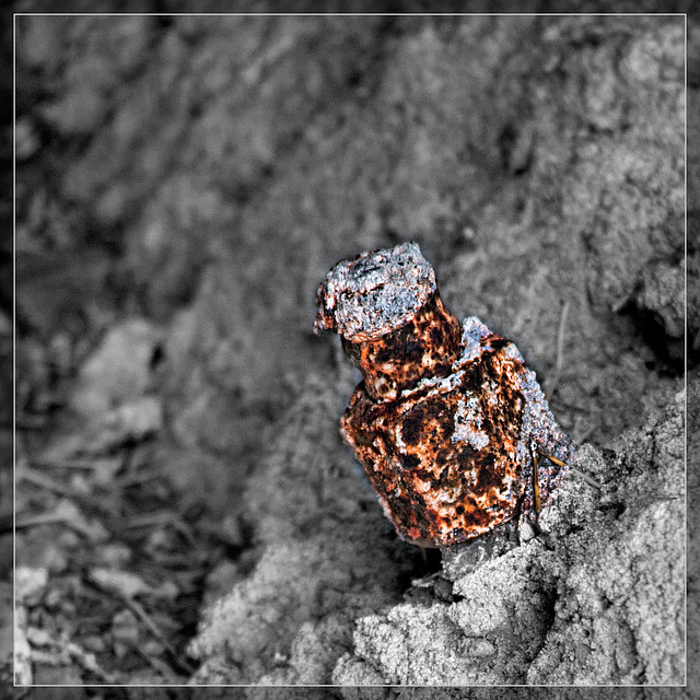 Rusty Bolt: Selective Color