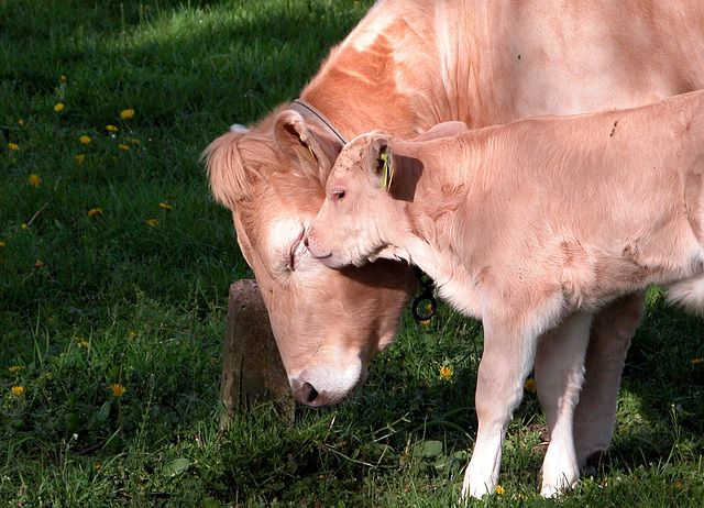 Mother and child