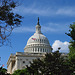 US Senate and the Capitol Series