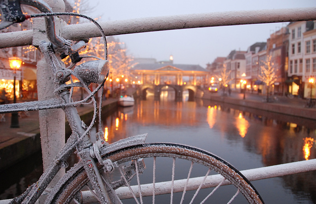 Hoar-frost in Leiden